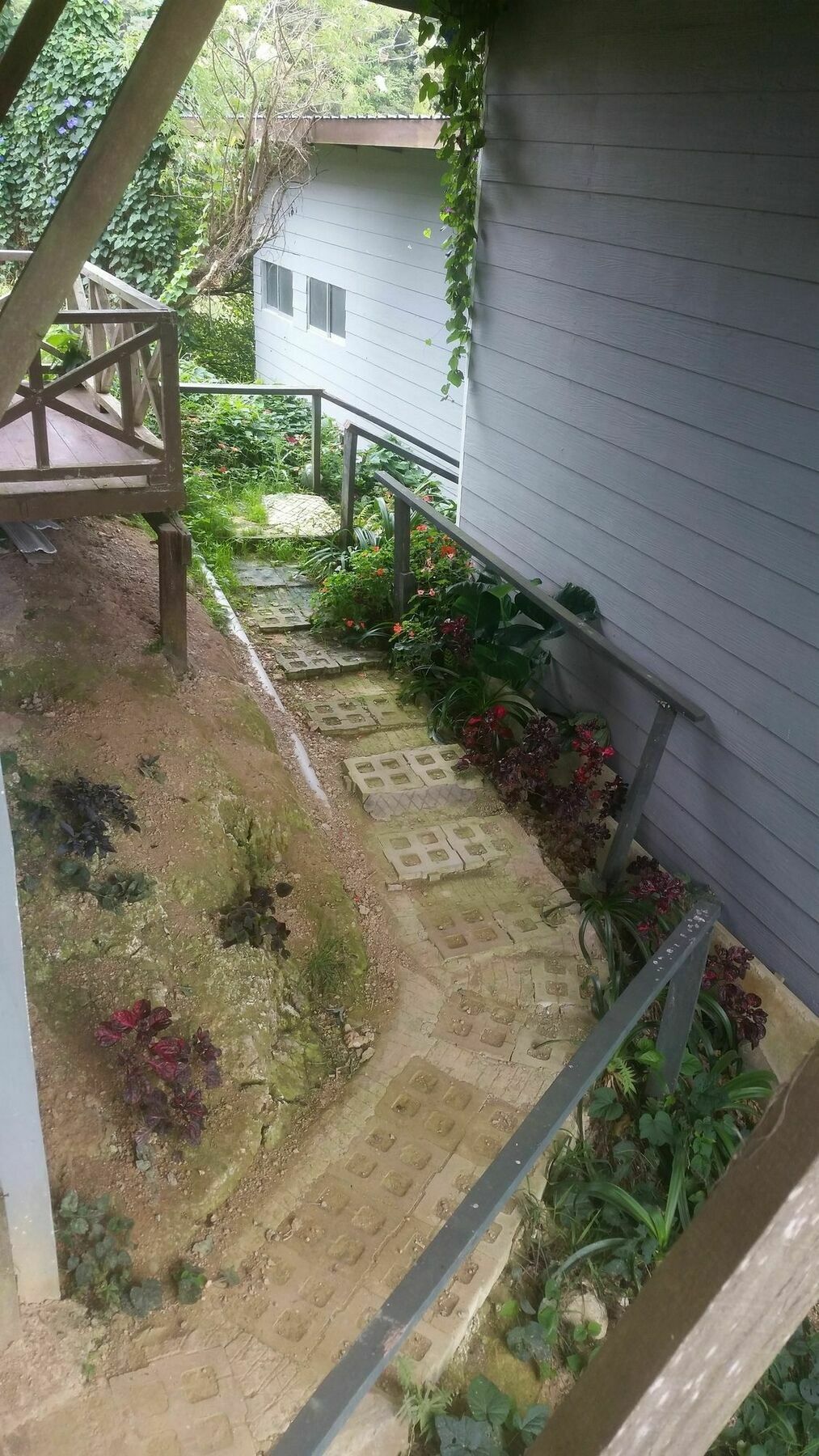Ceaser'S Place Kundasang Exterior photo